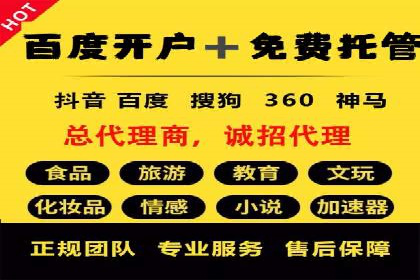 成功案例解析：SEM竞价托管的优化之路